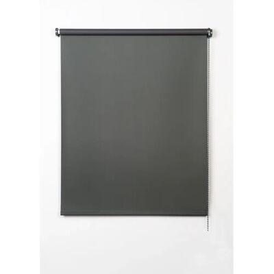 CINTACOR Modello 60x180cm Tenda a Rullo Oscurante Grigia Moderna CINTACOR Modello 60x180cm Tenda a Rullo Oscurante Grigia Moderna