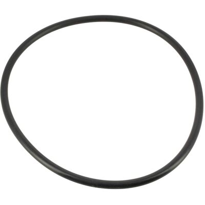 PENTAIR Guarnizione Del Coperchio Prefitlre Ultraflow R39300600 - Pompa Per Piscina PENTAIR Guarnizione Del Coperchio Prefitlre Ultraflow R39300600 - Pompa Per Piscina