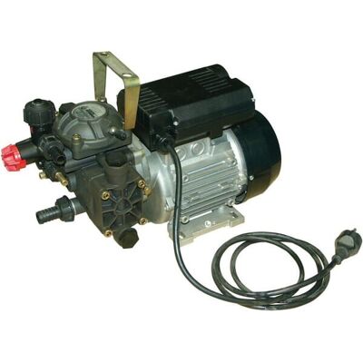 ANNOVI REVERBERI Pompa Ar 202 Vri Em 230 V Blueflex 16312ar ANNOVI REVERBERI Pompa Ar 202 Vri Em 230 V Blueflex 16312ar