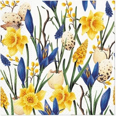 OEM Tovaglioli Di Carta Fiori Primaverili Narcisi Di Prato Compleanno 33x33cm 20 Pezzi. OEM Tovaglioli Di Carta Fiori Primaverili Narcisi Di Prato Compleanno 33x33cm 20 Pezzi.