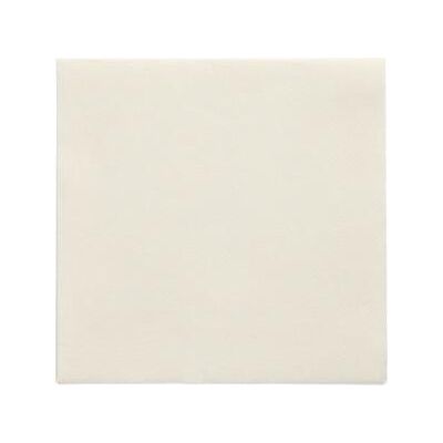 PAPSTAR Tovaglioli Daily Collection 2 Veli 150 Pezzi PAPSTAR Tovaglioli Daily Collection 2 Veli 150 Pezzi