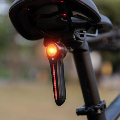 OEM Luce Posteriore Per Bici - 6 Modalità Smart Freno + Luce + Rilevamento Movimento - Luce Posteriore Per Bici Da 100 Lumen Con Set Staffa A Sgancio Rapido Per Sella E Reggisella, Tpye-c Ricaricabile, Im OEM Luce Posteriore Per Bici - 6 Modalità Smart Freno + Luce + Rilevamento Movimento - Luce Posteriore Per Bici Da 100 Lumen Con Set Staffa A Sgancio Rapido Per Sella E Reggisella, Tpye-c Ricaricabile, Im