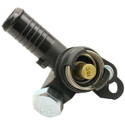 FAST FT58197 Termostato dell'acqua - Custodia in plastica per Ford Transit Mk5 FAST FT58197 Termostato dell'acqua - Custodia in plastica per Ford Transit Mk5