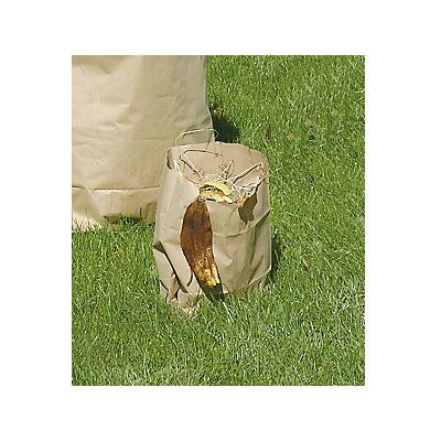 Sacchetti carta riciclata Kaiserkraft - 12L - Marrone Sacchetti carta riciclata Kaiserkraft - 12L - Marrone