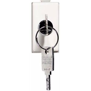 BTicino Interruttore 2p 16a Con Chiave Matix Am5007 - BTicino Interruttore 2p 16a Con Chiave Matix Am5007 -