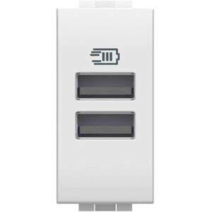 Modulo Caricatore USB Doppio Bticino N4191aa - Livinglight Modulo Caricatore USB Doppio Bticino N4191aa - Livinglight