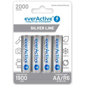 A PLACE FOR EVERYTHING R6 4bl Aku Everactive 2000 Silver Line A PLACE FOR EVERYTHING R6 4bl Aku Everactive 2000 Silver Line