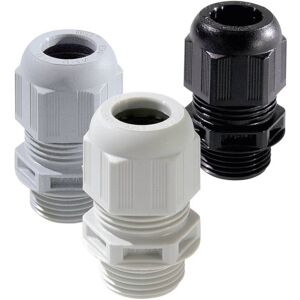 Wiska 10066503 Pressacavo Filettato M25 Poliammide Nero (ral 9005) 50 Pz. - Wiska 10066503 Pressacavo Filettato M25 Poliammide Nero (ral 9005) 50 Pz. -
