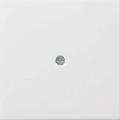 GIRA 0274112 Placca da parete per collegamento cavo e presa di comunicazione - Bianco GIRA 0274112 Placca da parete per collegamento cavo e presa di comunicazione - Bianco