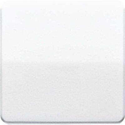 Jung CD 590 BF WW Interruttore a Parete - Interruttore Luci Jung CD 590 BF WW Interruttore a Parete - Interruttore Luci