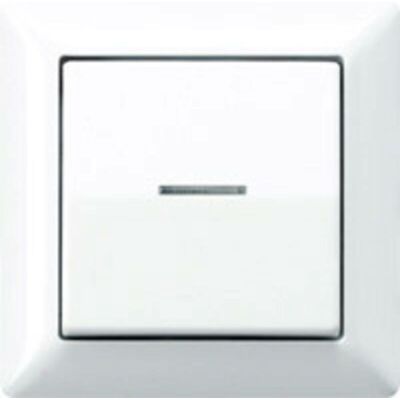 Jung AS 590 Interruttore Luce - Interruttore Luce Jung AS 590 Interruttore Luce - Interruttore Luce