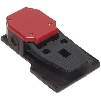 Pizzato PA 20201-M2 Interruttore a pedale - IP65, 250V/AC 6A, 1 Pedale, 2 NO, 2 NC Pizzato PA 20201-M2 Interruttore a pedale - IP65, 250V/AC 6A, 1 Pedale, 2 NO, 2 NC