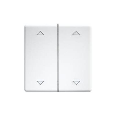 Eltako DW-FT55-rw+2P Interruttore doppio a bilanciere - Interruttore Eltako DW-FT55-rw+2P Interruttore doppio a bilanciere - Interruttore