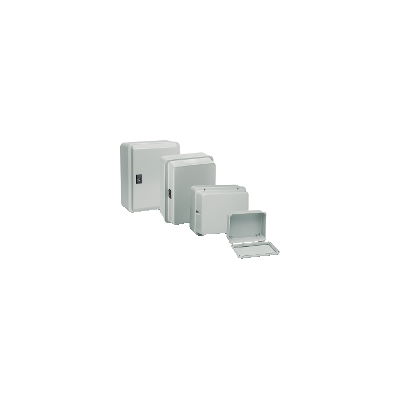 Schneider Electric Scatola da Parete in Acciaio IP55 Coperchio Basso Schneider Electric Scatola da Parete in Acciaio IP55 Coperchio Basso