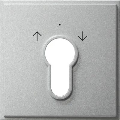 Accessorio Interruttore Gira 066465 in Alluminio Accessorio Interruttore Gira 066465 in Alluminio