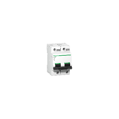 Schneider A9N18345 - Interruttore 2P 80A Curva B Schneider A9N18345 - Interruttore 2P 80A Curva B