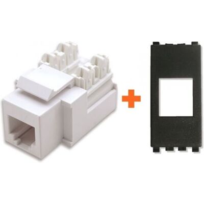 Intellinet Presa Telefonica Incasso Rj11 Compatibile Vimar Arke Nera - Intellinet Presa Telefonica Incasso Rj11 Compatibile Vimar Arke Nera -