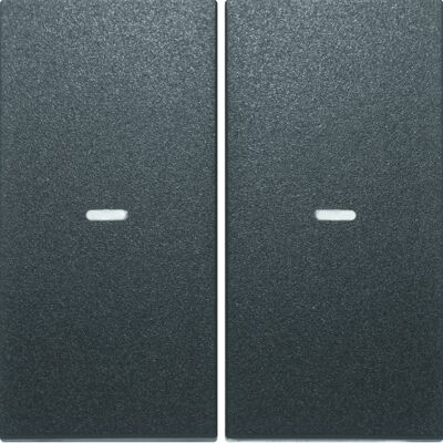 BERKER Placca Di Finitura S1/bx 2 Moduli Opaco Antracite BERKER Placca Di Finitura S1/bx 2 Moduli Opaco Antracite