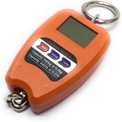 OEM Bilancia Digitale Professionale Per Bagagli, Bilancia Da Viaggio, Bilancia Da Pesca, Dinamometro Con Gancio, Grado Industriale, Portatile, 200 Kg OEM Bilancia Digitale Professionale Per Bagagli, Bilancia Da Viaggio, Bilancia Da Pesca, Dinamometro Con Gancio, Grado Industriale, Portatile, 200 Kg