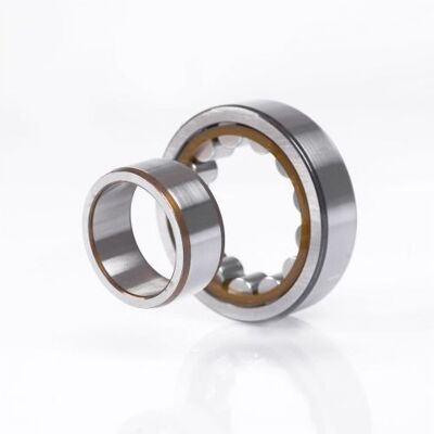 NKE - Cuscinetto A Rulli Cilindrici Nu310 Etvp3 27mm Od 110mm Id 50mm Foro Cilindrico NKE - Cuscinetto A Rulli Cilindrici Nu310 Etvp3 27mm Od 110mm Id 50mm Foro Cilindrico