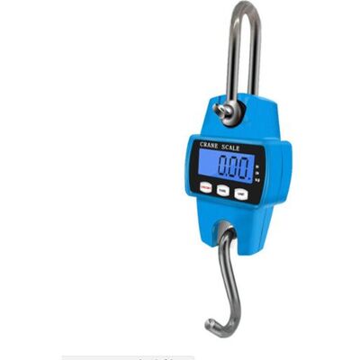 OEM Bilancia Industriale Sospesa Da 300 Kg, Bilancia Digitale A Gru Sospesa Sky B OEM Bilancia Industriale Sospesa Da 300 Kg, Bilancia Digitale A Gru Sospesa Sky B