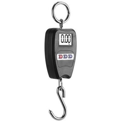 OEM Bilancia Digitale Professionale Per Bagagli, Bilancia Da Viaggio, Bilancia Da Pesca, Dinamometro Con Gancio, Grado Industriale, Portatile, 200 Kg OEM Bilancia Digitale Professionale Per Bagagli, Bilancia Da Viaggio, Bilancia Da Pesca, Dinamometro Con Gancio, Grado Industriale, Portatile, 200 Kg