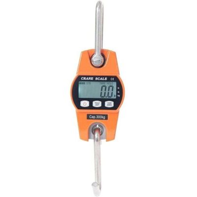 OEM Bilancia Elettronica Da 300 Kg Con Gancio, Dinamometro, Display Lcd, Bilancia Industriale Con Gancio Per Pesatura, Portata 300 Kg/600 Libbre. OEM Bilancia Elettronica Da 300 Kg Con Gancio, Dinamometro, Display Lcd, Bilancia Industriale Con Gancio Per Pesatura, Portata 300 Kg/600 Libbre.