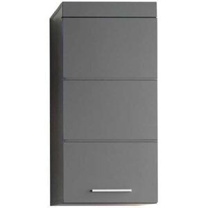 TRENDTEAM - Mobile Alto Da Bagno Amanda - 1 Porta - Grigio TRENDTEAM - Mobile Alto Da Bagno Amanda - 1 Porta - Grigio