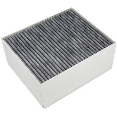 Filtro carbone attivo Bosch Modello 11017314 - Filtro aria Filtro carbone attivo Bosch Modello 11017314 - Filtro aria