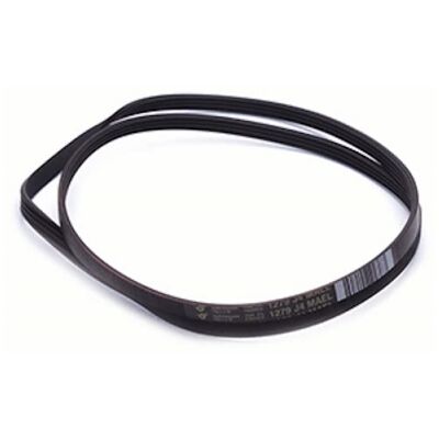 Cinghia Indesit Wg635Tpex - Accessorio per Lavatrice Cinghia Indesit Wg635Tpex - Accessorio per Lavatrice
