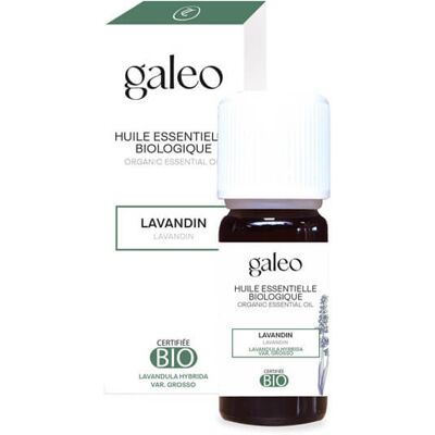 OEM Olio Essenziale Di Lavanda Biologica Galeo 10 Ml OEM Olio Essenziale Di Lavanda Biologica Galeo 10 Ml