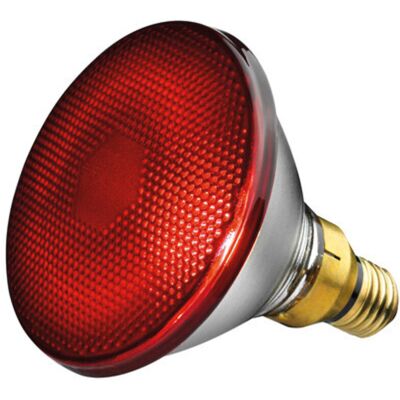 Beurer IL 21 150W Lampada Infrarossi - Riscaldamento Infrarossi Beurer IL 21 150W Lampada Infrarossi - Riscaldamento Infrarossi