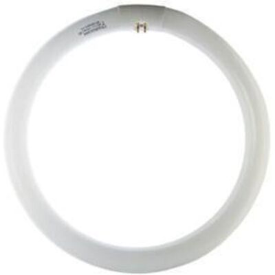 MARCA Circolina 22w G10q 1350lm 4200k - 12 Pezzi MARCA Circolina 22w G10q 1350lm 4200k - 12 Pezzi