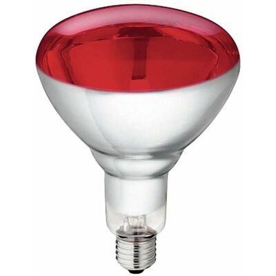 Philips Lampada Ad Infrarossi Riscaldante Per Riflettore Pulcini E Cuccioli 150 W Philips Lampada Ad Infrarossi Riscaldante Per Riflettore Pulcini E Cuccioli 150 W