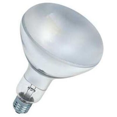 Bailey Electric & Electronics UV27230300F/02 Lampadina Incandescente - Luce UV Bailey Electric & Electronics UV27230300F/02 Lampadina Incandescente - Luce UV