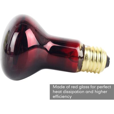 Infinite Lampada A Infrarossi A Risparmio Energetico Da 60w E27 Per Rettili - Lampadina In Vetro Rosso Che Fornisce Benefici Termici Per Il Sangue E L'Attività Di Rettili E Anfibi Infinite Lampada A Infrarossi A Risparmio Energetico Da 60w E27 Per Rettili - Lampadina In Vetro Rosso Che Fornisce Benefici Termici Per Il Sangue E L'Attività Di Rettili E Anfibi