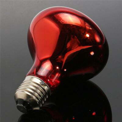 ENLENK Lampadina Riscaldante Per Terrario 150w – Attacco E27 – Luce Uva Per Rettili – Emittente Di Calore Concentrato ENLENK Lampadina Riscaldante Per Terrario 150w – Attacco E27 – Luce Uva Per Rettili – Emittente Di Calore Concentrato