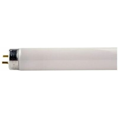 Philips Lampadina 718433 Tl-mini 8w T5 410lm Philips Lampadina 718433 Tl-mini 8w T5 410lm