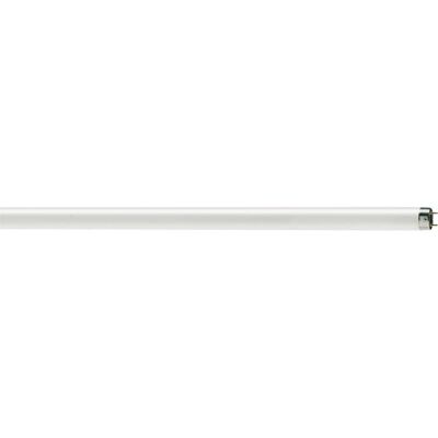 FP Lampade Fluorescenti T8 18w G13 1350lm 840 60 Cm (per 6) FP Lampade Fluorescenti T8 18w G13 1350lm 840 60 Cm (per 6)