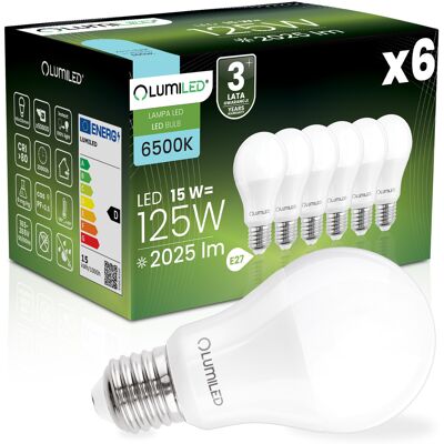 OEM 6 Lampadine Led E27 A65 15w = 125w 2025lm 6500k Luce Fredda 260° OEM 6 Lampadine Led E27 A65 15w = 125w 2025lm 6500k Luce Fredda 260°