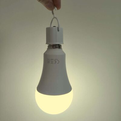F-BRIGHT Lampadina Led 11w Con Emergenza E Portalampada – Luce Sempre 3000k F-BRIGHT Lampadina Led 11w Con Emergenza E Portalampada – Luce Sempre 3000k