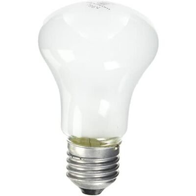 ELINCHROM El23002 - Lampadina Modellante Di Ricambio - 100 W - ELINCHROM El23002 - Lampadina Modellante Di Ricambio - 100 W -