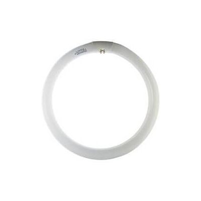 MARCA Q.ta' 12 Circolina 22w G10q 1350lm 4200k MARCA Q.ta' 12 Circolina 22w G10q 1350lm 4200k