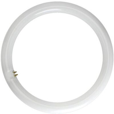 reer Lampada Led Circolare 18w 4000k Attacco G10q 5456410 reer Lampada Led Circolare 18w 4000k Attacco G10q 5456410