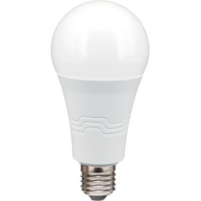 ALCAPOWER Alca Power A65 19w 175-250v 2200lm 6000k E27 Lampada Classica A Led ALCAPOWER Alca Power A65 19w 175-250v 2200lm 6000k E27 Lampada Classica A Led
