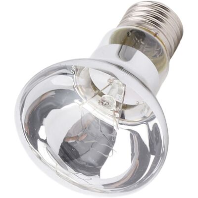 LIIYIELA Lampadine Riscaldanti Per Rettili E27, Faretto Uva Per Rettili E Anfibi, Simulazione Giorno/notte, 220-240v 25w LIIYIELA Lampadine Riscaldanti Per Rettili E27, Faretto Uva Per Rettili E Anfibi, Simulazione Giorno/notte, 220-240v 25w