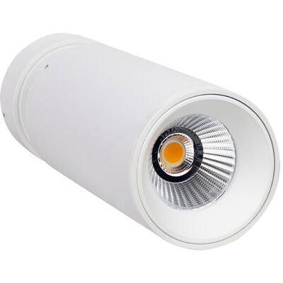 SECOM Proiettore Led Twin Medium 20 W, 1500 Lm, Orientabile, Ø6.5x19.8c SECOM Proiettore Led Twin Medium 20 W, 1500 Lm, Orientabile, Ø6.5x19.8c