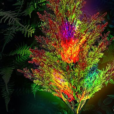COOCHEER Due Set Di Lampioni Solari A Led Per Esterni, Luci Da Giardino A Quattro Colori In Pino E Cipresso, Luci Decorative Natalizie Da Giardino (2 Pezzi/multicolore) COOCHEER Due Set Di Lampioni Solari A Led Per Esterni, Luci Da Giardino A Quattro Colori In Pino E Cipresso, Luci Decorative Natalizie Da Giardino (2 Pezzi/multicolore)