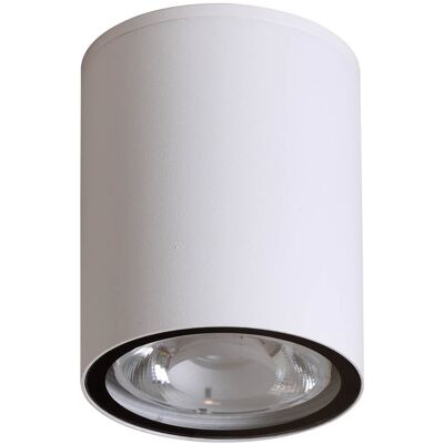 ITALUX Plafoniera Esterna Bianca Led 6w 3000k Ip54 ITALUX Plafoniera Esterna Bianca Led 6w 3000k Ip54