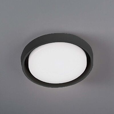 ZAFFERANO Alu Lampada Da Parete E Soffitto A Led, Design Moderno In Alluminio Pressofuso, Colore Grigio Scuro, Diametro 27 Cm, Protezione Ip54 Per Esterni ZAFFERANO Alu Lampada Da Parete E Soffitto A Led, Design Moderno In Alluminio Pressofuso, Colore Grigio Scuro, Diametro 27 Cm, Protezione Ip54 Per Esterni